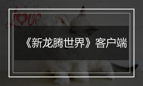 《新龙腾世界》客户端