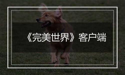 《完美世界》客户端