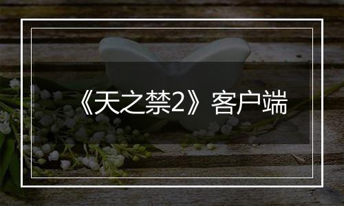 《天之禁2》客户端