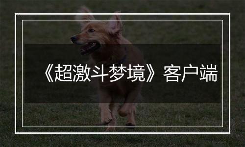 《超激斗梦境》客户端