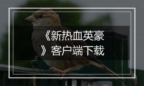 《新热血英豪》客户端下载