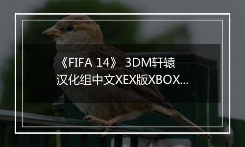 《FIFA 14》 3DM轩辕汉化组中文XEX版XBOX360版
