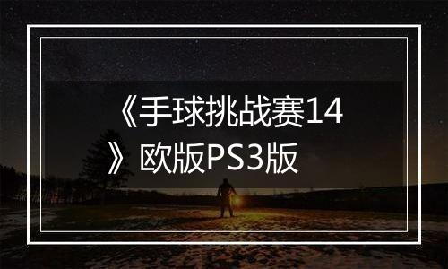 《手球挑战赛14》欧版PS3版