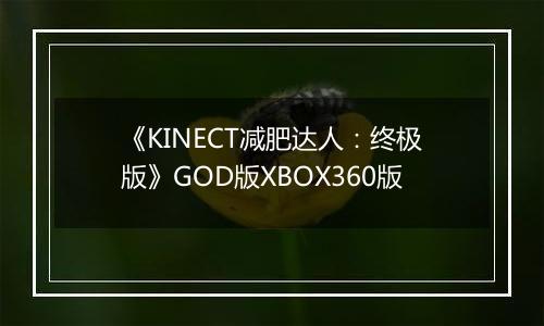 《KINECT减肥达人：终极版》GOD版XBOX360版