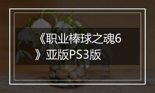《职业棒球之魂6》亚版PS3版