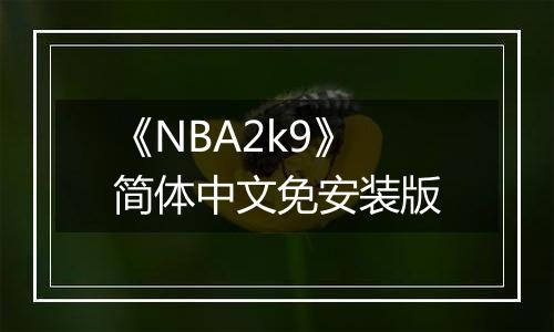 《NBA2k9》简体中文免安装版