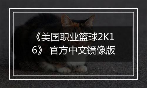 《美国职业篮球2K16》 官方中文镜像版