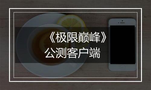 《极限巅峰》公测客户端