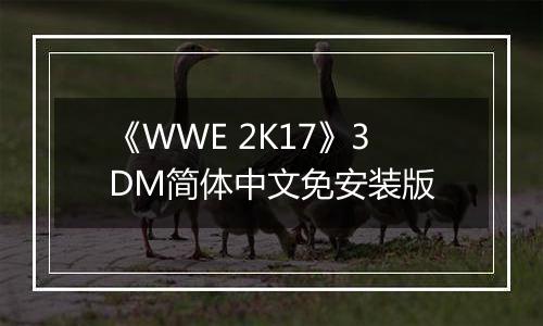 《WWE 2K17》3DM简体中文免安装版