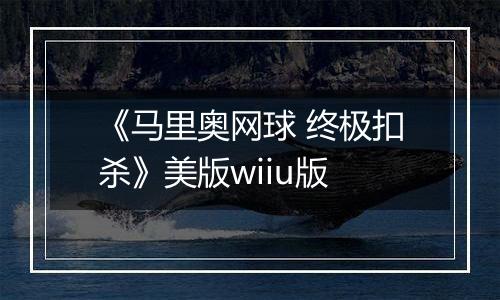 《马里奥网球 终极扣杀》美版wiiu版