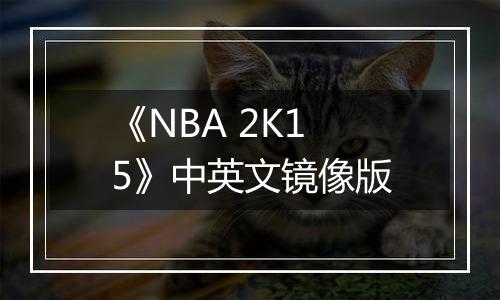 《NBA 2K15》中英文镜像版