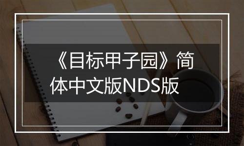 《目标甲子园》简体中文版NDS版