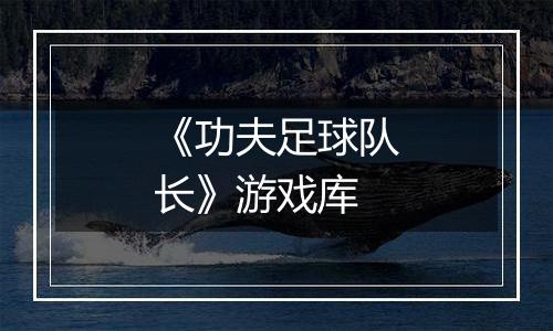《功夫足球队长》游戏库