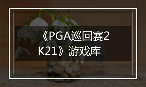 《PGA巡回赛2K21》游戏库