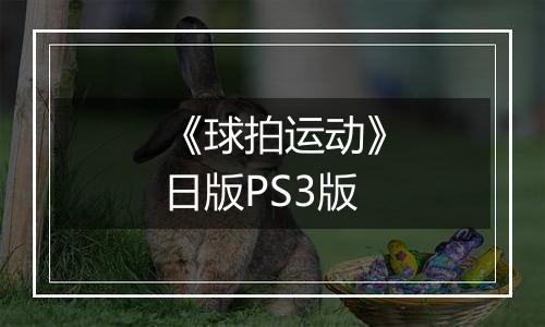 《球拍运动》日版PS3版