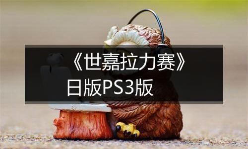 《世嘉拉力赛》日版PS3版