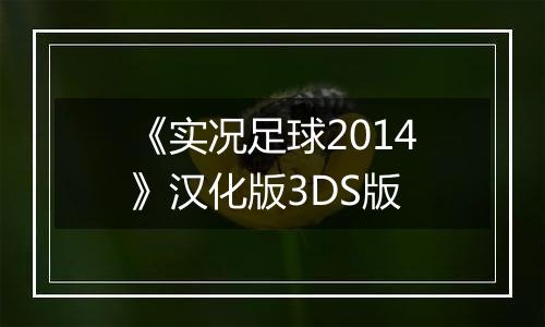 《实况足球2014》汉化版3DS版