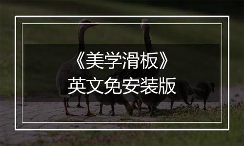 《美学滑板》英文免安装版