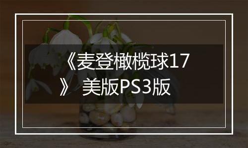 《麦登橄榄球17》 美版PS3版