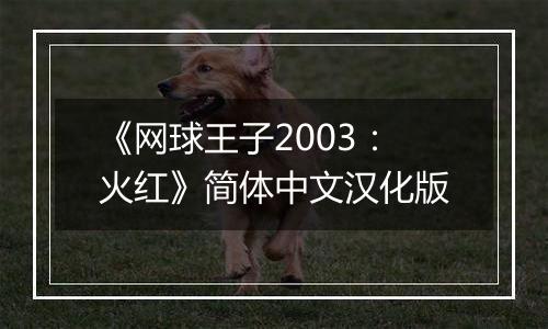 《网球王子2003：火红》简体中文汉化版