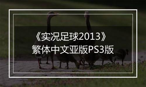 《实况足球2013》繁体中文亚版PS3版