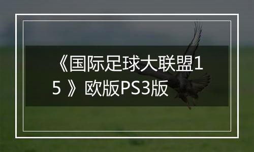 《国际足球大联盟15 》欧版PS3版