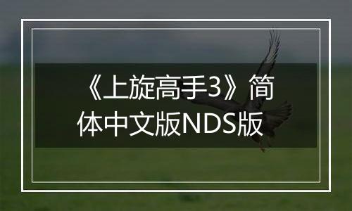 《上旋高手3》简体中文版NDS版