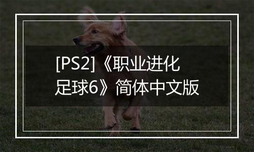 [PS2]《职业进化足球6》简体中文版