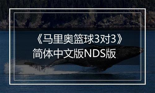 《马里奥篮球3对3》简体中文版NDS版