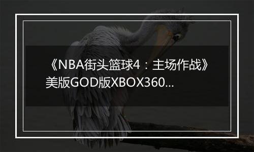 《NBA街头篮球4：主场作战》美版GOD版XBOX360版