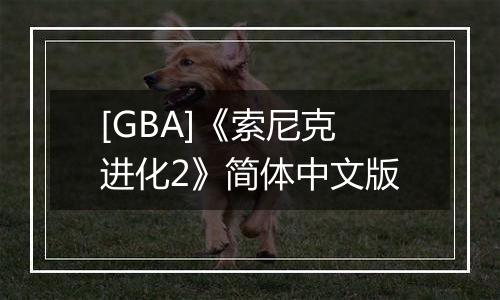 [GBA]《索尼克进化2》简体中文版