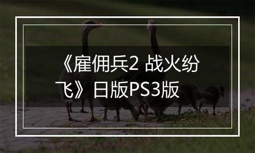 《雇佣兵2 战火纷飞》日版PS3版