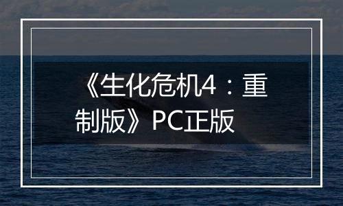 《生化危机4：重制版》PC正版