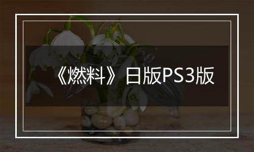 《燃料》日版PS3版