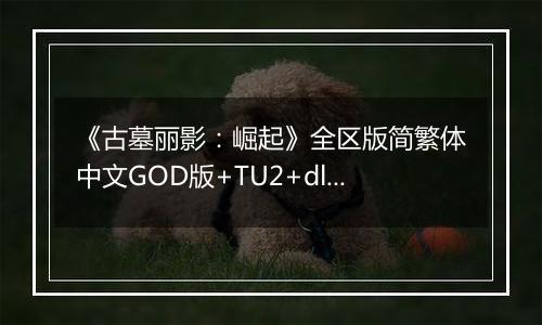 《古墓丽影：崛起》全区版简繁体中文GOD版+TU2+dlcXBOX360版