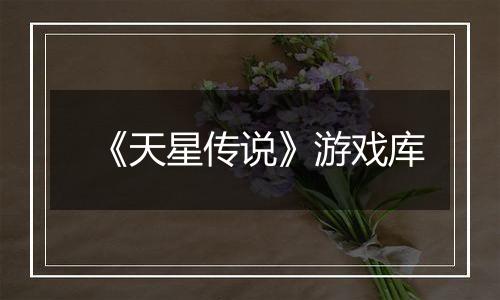 《天星传说》游戏库
