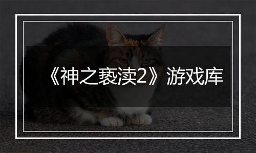 《神之亵渎2》游戏库