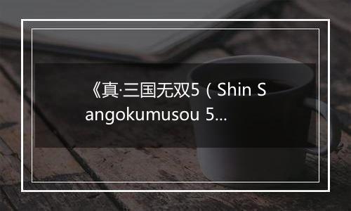 《真·三国无双5（Shin Sangokumusou 5）》