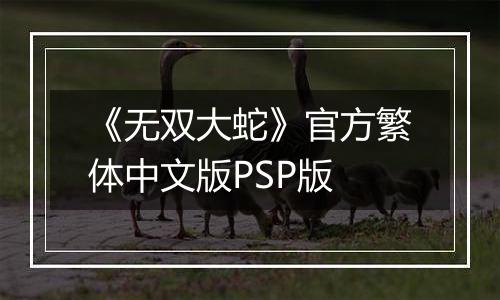 《无双大蛇》官方繁体中文版PSP版