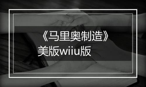 《马里奥制造》美版wiiu版