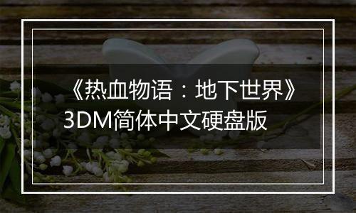 《热血物语：地下世界》3DM简体中文硬盘版