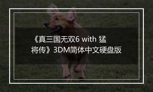 《真三国无双6 with 猛将传》3DM简体中文硬盘版