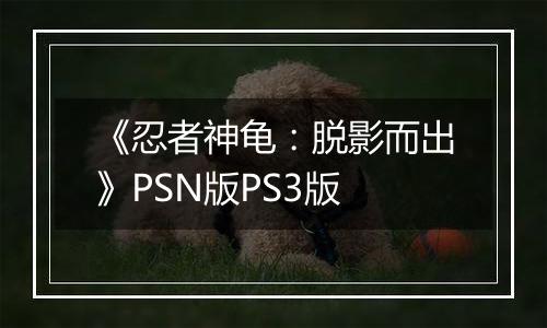 《忍者神龟：脱影而出》PSN版PS3版