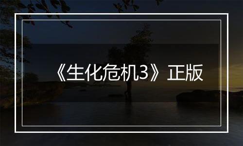 《生化危机3》正版