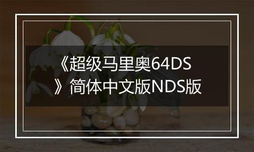 《超级马里奥64DS》简体中文版NDS版
