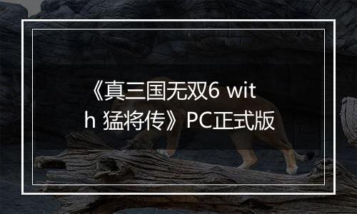 《真三国无双6 with 猛将传》PC正式版