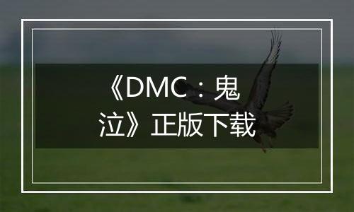 《DMC：鬼泣》正版下载