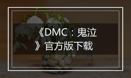 《DMC：鬼泣》官方版下载