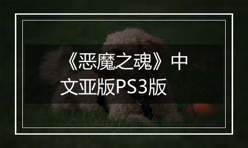 《恶魔之魂》中文亚版PS3版