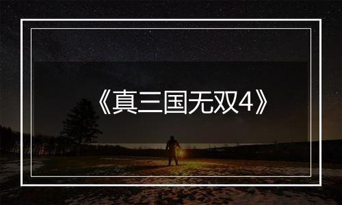 《真三国无双4》